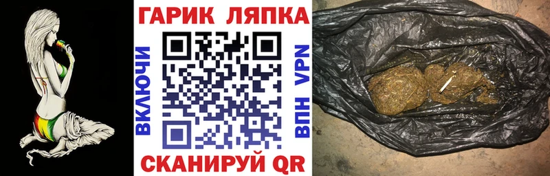 Купить где  Пыть-Ях  ГАШ Premium 