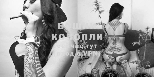 меф Корсаков