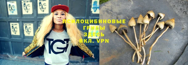 меф Корсаков