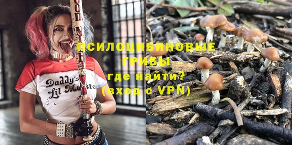 меф Корсаков